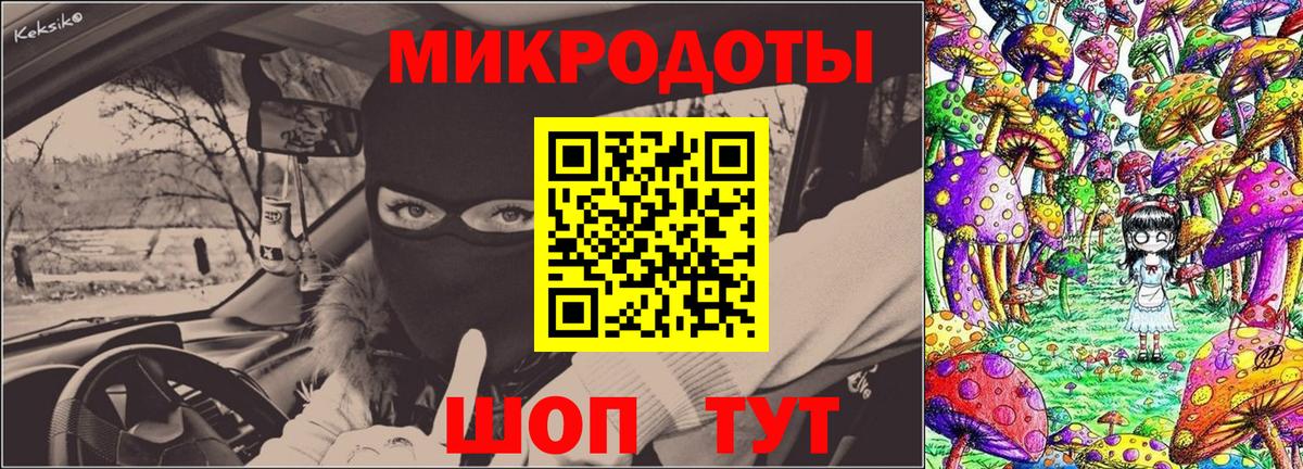 Майкоп  Галлюциногенные грибы Psilocybe  Вход с VPN 