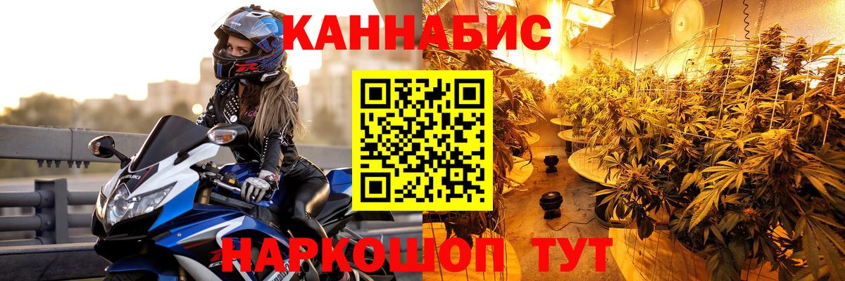 Майкоп  Канабис индика  Каннабис Amnesia  Марихуана сатива  Вход с VPN 